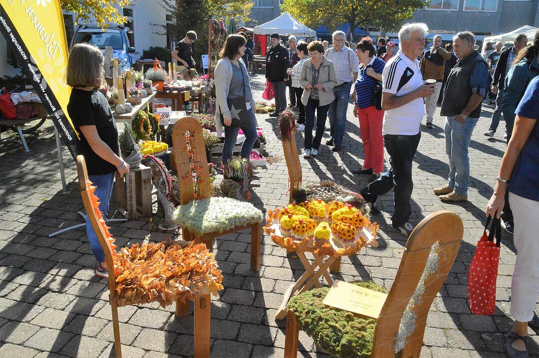 Holztag Scheinfeld 2017