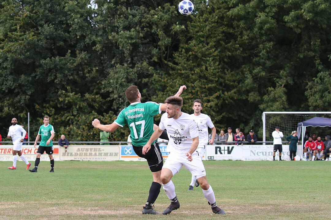 TSV/DJK Wiesentheid - SV-DJKberschwarzach