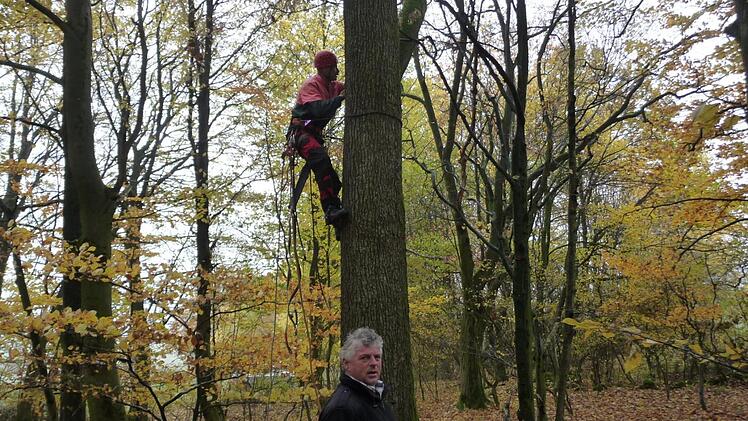 Bau eines Kunsthorstes im Stralsbacher Wald. Foto: Joachim Dahmer