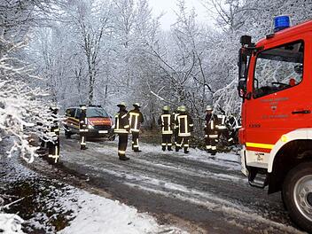 Durch die feuchte Schneelast umgestürzte Büsche und tiefhängende Äste entfernte die Feuerwehr im Wald am Heiligenhof  Foto: Peter Rauch