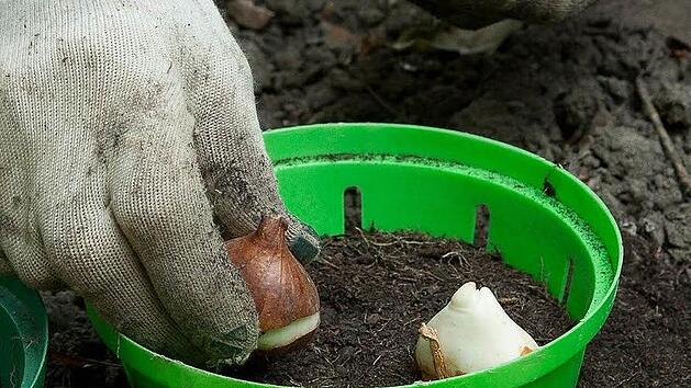 Symbolbild: Kai Remmers/dpa