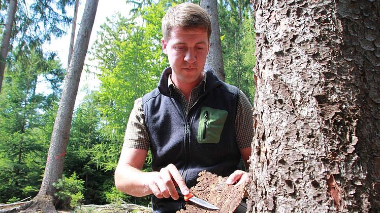 Förster Stefan Blumrich will zusammen mit Kollegen erklären, wie Waldbesitzer erkennen, ob sie ein Borkenkäfer-Problem haben. Wie geht man mit dem Holz um?  Fotos: Carmen Schmitt