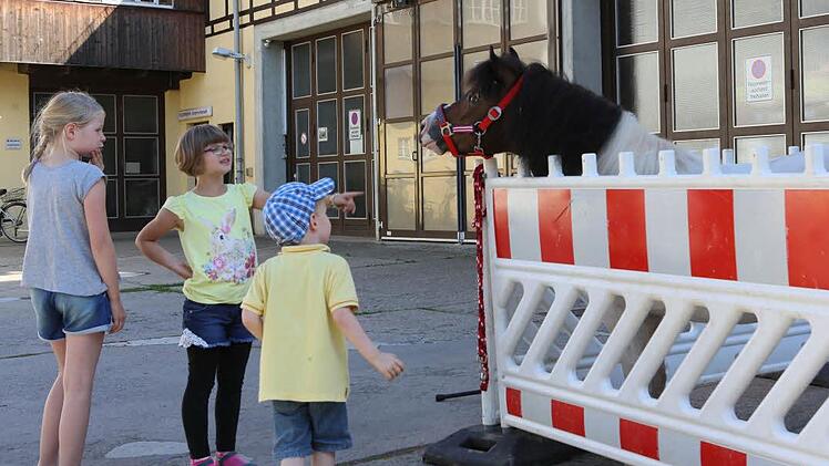 Foto: Barbara Herbst