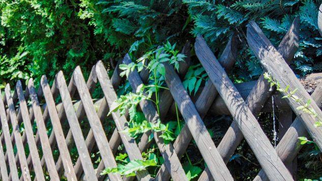 Ein Jägerzaun soll im neuen Baugebiet verboten sein.