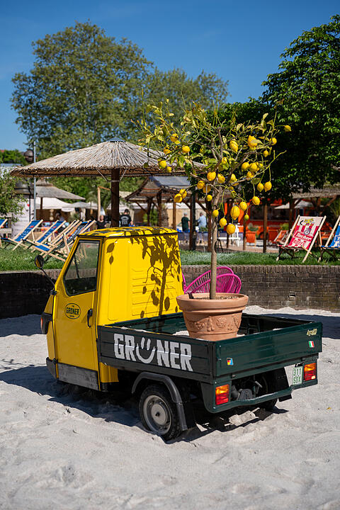 Sommer 2025 in Franken!