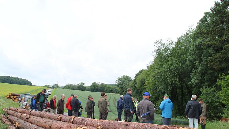 Der Holzeinschlag war ein Thema beim Waldbegang. Foto: Hilmar Ruppert