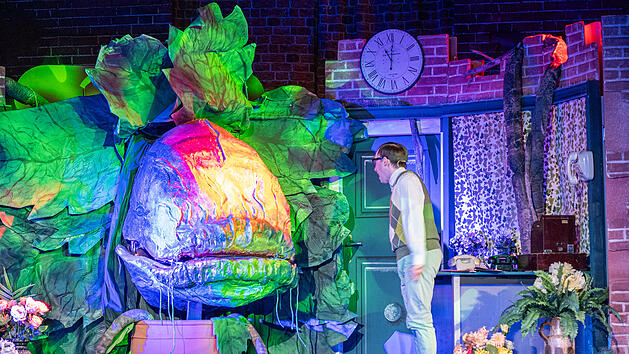 Aufwendig dekorierte Gestaltungselemente verschmelzen mit der historischen Burganlage zu einem ganz besonderem Ambiente, wie im letzten Jahr beim St&uuml;ck &bdquo;Der kleine Horrorladen&ldquo;.