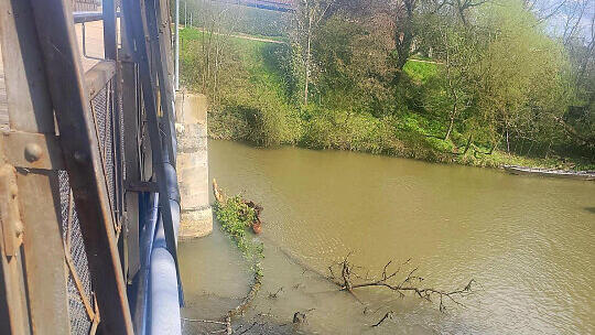 Bamberg: Feuerwehr zieht 12 Meter hohen Baum aus Regnitz - "Gefahr für die Binnenschiffahrt"