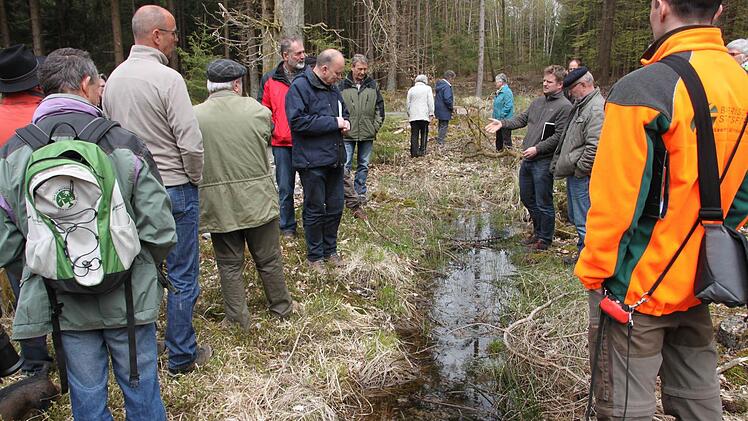 Was wie ein vermeintlicher Tümpel aussieht, hat durchaus seine Bedeutung im Wald. Foto: Paul Ziegler