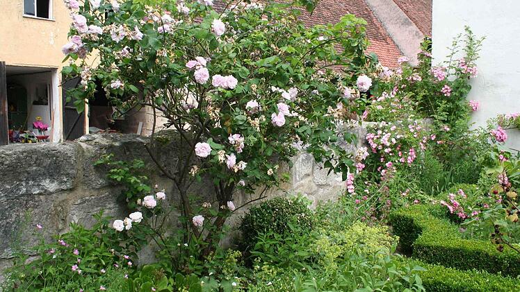 Im Garten von Heidi Rippel