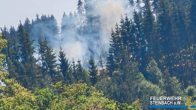 Fl&auml;chenbrand in Ha&szlig;lach bei Teuschnitz