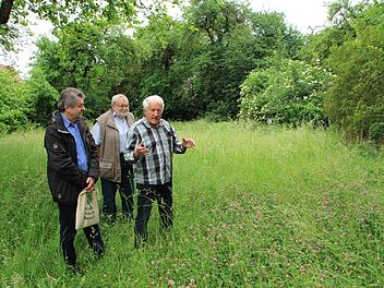 Für Naturschützer Helmut König, Christoph Reuß und Hans Krautblatter (v.l.) kommt eine Bebauung der Grünfläche in der Kerschensteinerstraße in Höchstadt  nicht in Frage.  Foto:  Christian Bauriedel