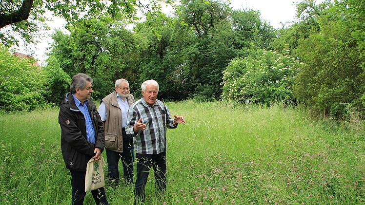 Für Naturschützer Helmut König, Christoph Reuß und Hans Krautblatter (v.l.) kommt eine Bebauung der Grünfläche in der Kerschensteinerstraße in Höchstadt  nicht in Frage.  Foto:  Christian Bauriedel