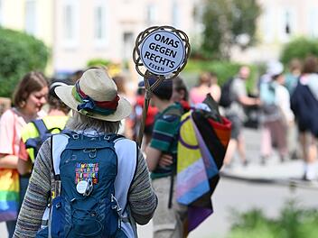 Bundesparteitag der AfD
