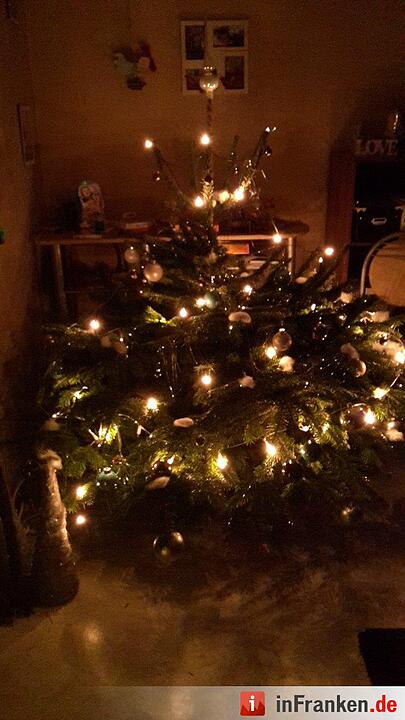Weihnachten in Franken: Die Christbäume unserer Leser