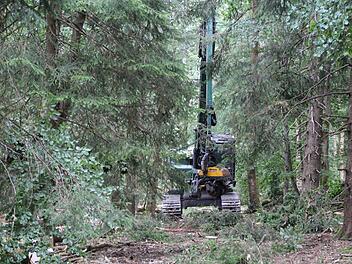 Ein Harvester am Totnansberg w&auml;hrend des Einsatzes. Johannes Schlereth