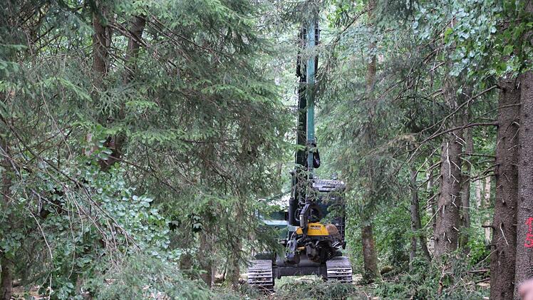 Ein Harvester am Totnansberg w&auml;hrend des Einsatzes. Johannes Schlereth