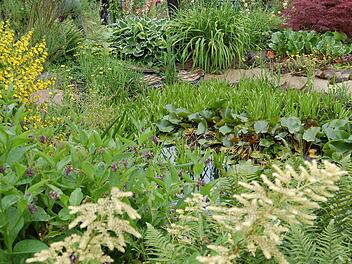 Ein gepflegter Garten muss nicht kahl und leer sein, meint inFranken.de-Gartenexperte Jupp Schröder. Foto: Günther Straub