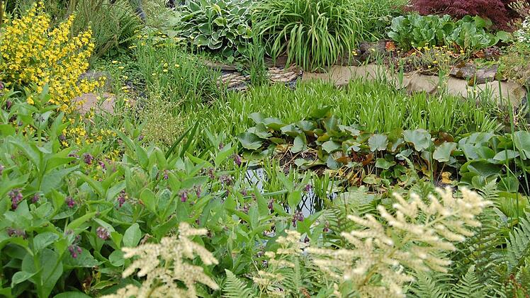 Ein gepflegter Garten muss nicht kahl und leer sein, meint inFranken.de-Gartenexperte Jupp Schröder. Foto: Günther Straub