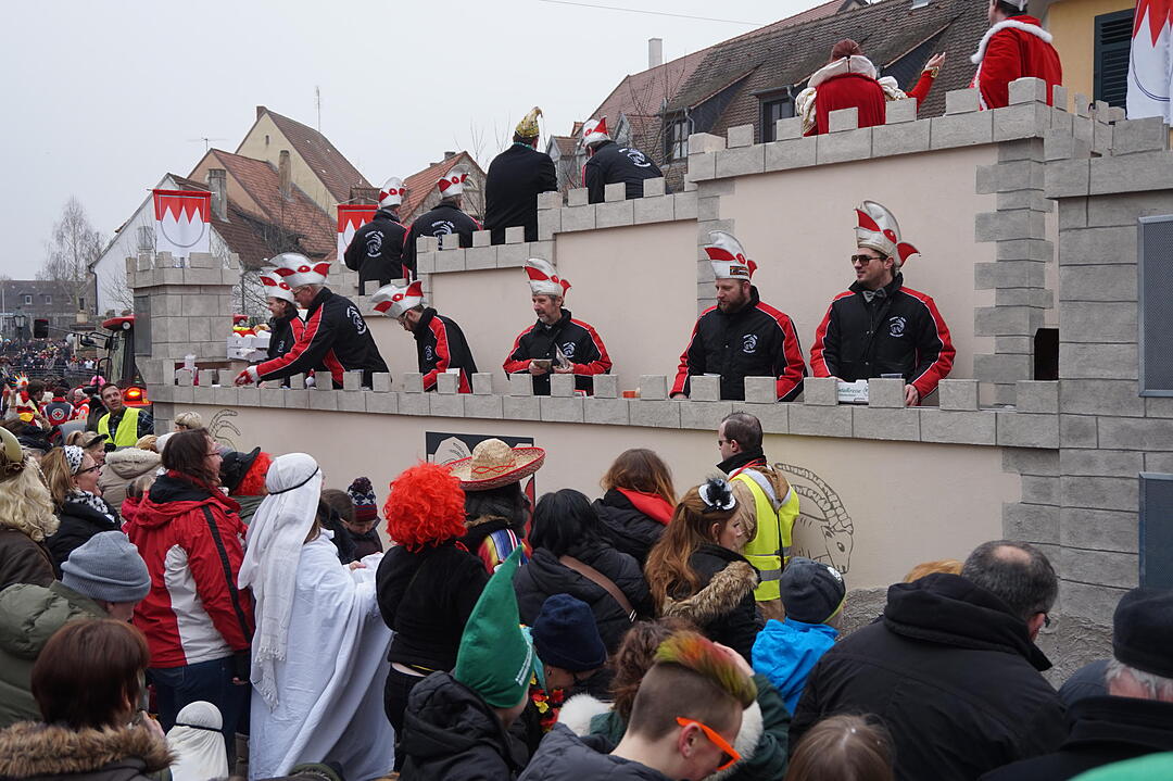 Landkreisfaschingszug 2015