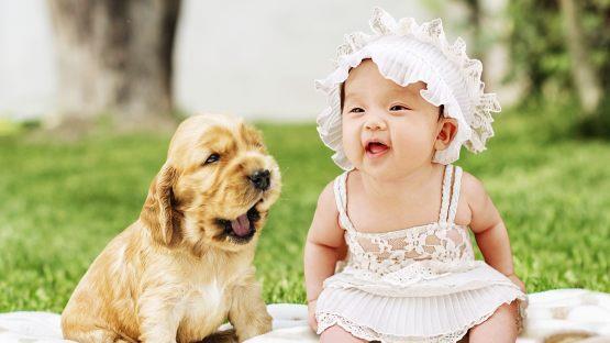 Welpen und Babys finden wir besonders süß. Das Kindchenschema ist der Grund dafür. Bild:pixbay.com