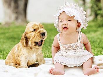 Welpen und Babys finden wir besonders süß. Das Kindchenschema ist der Grund dafür. Bild:pixbay.com