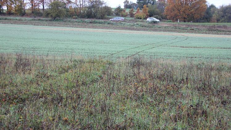 Deutlich ist die Spur über Acker und Wiese zu erkennen.