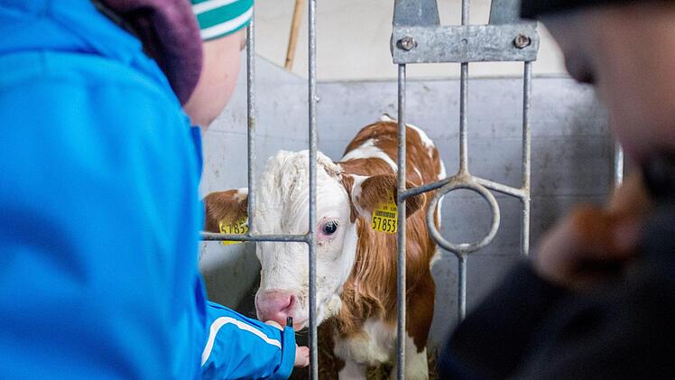 Auch die Streicheleinheiten durften bei dem Besuch nicht zu kurz kommen. Foto: Marian Hamacher