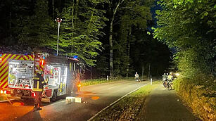Zahlreiche Einsätze durch Unwetter in Franken: Umgestürzte Bäume fordern Feuerwehr