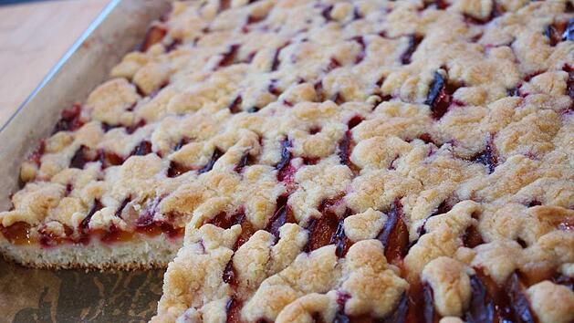 zwetschgenkuchen-quarkoel-teig.jpg
