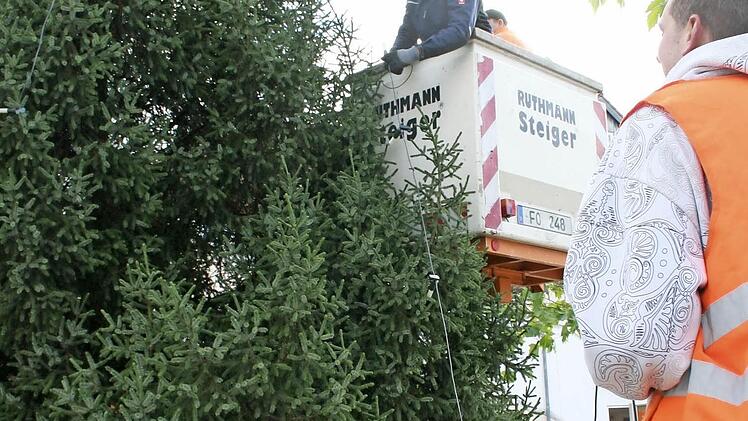 Der Weihnachtsbaum auf dem Marktplatz Foto: Andreas Oswald