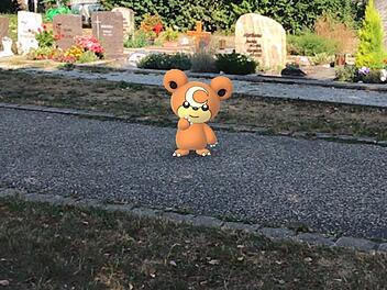 Auf dem städtischen Friedhof wartet dieses bärenähnliche Wesen. Es wartet vor den Grabsteinen, um gefangen zu werden.  Fotos: Michael Busch