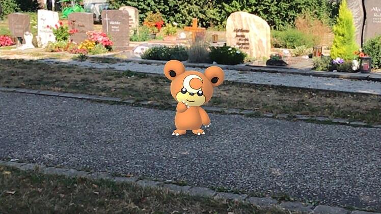 Auf dem städtischen Friedhof wartet dieses bärenähnliche Wesen. Es wartet vor den Grabsteinen, um gefangen zu werden.  Fotos: Michael Busch