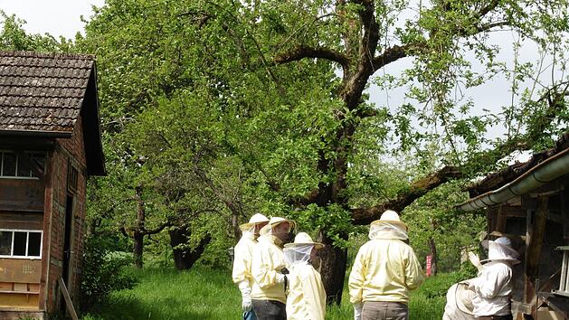 Das Leader-Projekt Mensch - Biene - Bildung ist eines von 17. Auf dem Foto zu sehen sind Bienenhirten im Bienengarten in Maria Bildhausen.