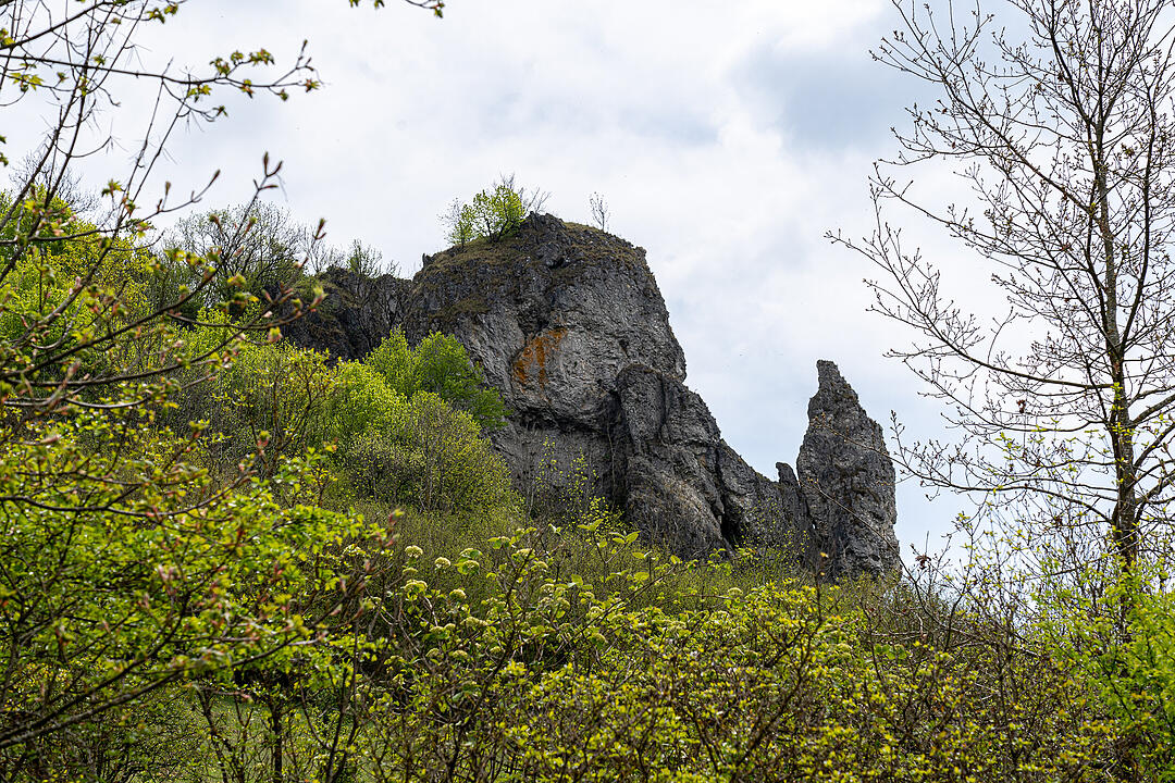 Der Berg der Franken