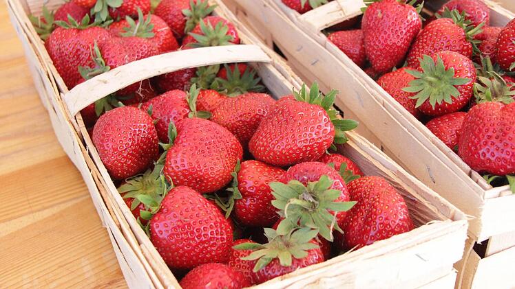 Himbeerstauden (l.) und Erdbeerpflanzen (r.) sind verdorrt. Sehr zum Ärger von Tom Bertelshofer.