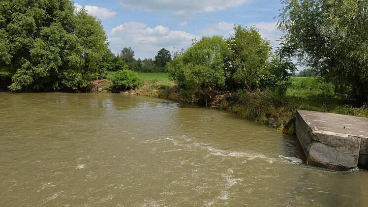 Foto: Ronald Rinklef