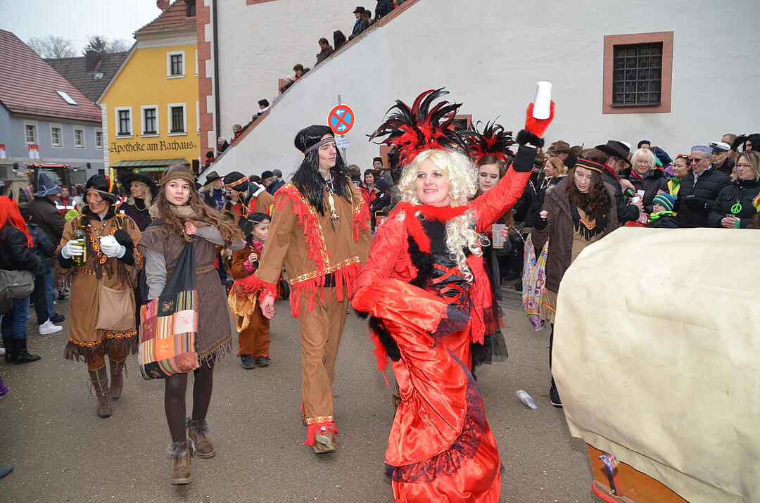Landkreisfaschingszug 2015