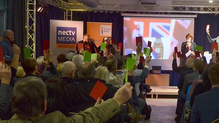 Die Besucher stimmen zu wichtigen Europa-Fragen mit farbigen Kärtchen ab.Foto: Rainer Lutz
