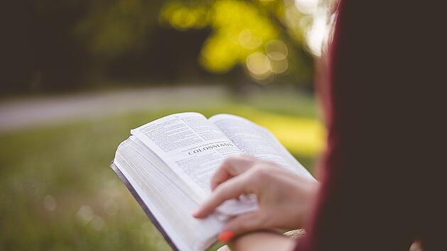 Die Stadtbücherei Hof bietet dir eine Auswahl von etwa 95.000 Medien.