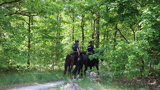 Vermisstensuche in Coburg endet glimpflich