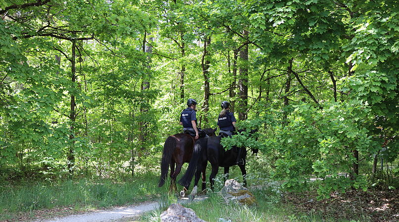 Vermisstensuche in Coburg endet glimpflich