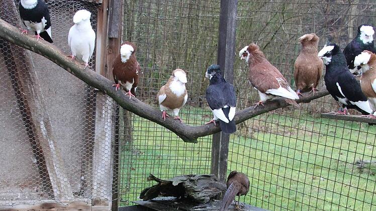 Schausitzen... Foto: Sonja Adam
