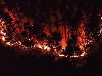 Von Brandstiftung als Ursache für den Brand für in Hauptsmoorwald geht die Polizei aus.   Foto: News5 / Merzbach