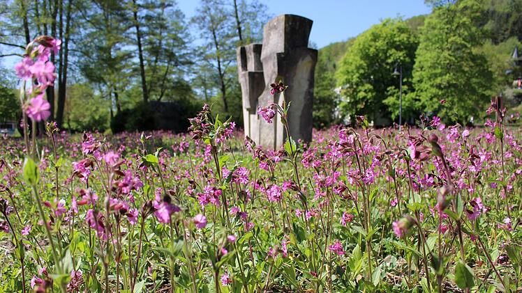 Im vergangenen Sommer blühte die Wiese im Georgi-Kurpark farbenfroh. Foto: Archiv/Julia Raab