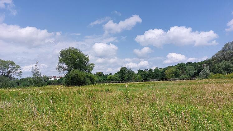 Mückenplage in Fürth