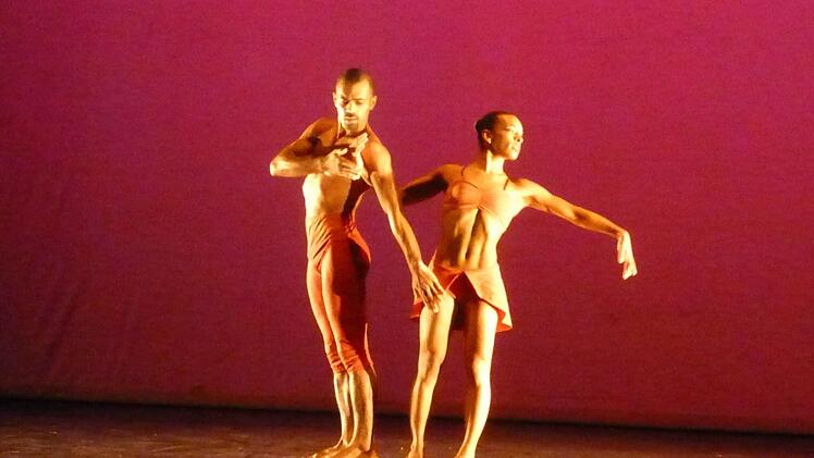 Die "Jon Lehrer Dance Company"