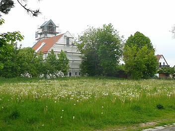 Auf diesem Grundstückes könnte die Seniorenwohnanlage entstehen. Foto: Klaus-Peter Wulf
