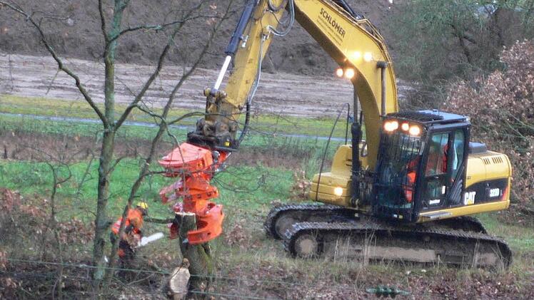 12.1.2015: Am ersten Tag der Sperrung rücken die Fälltrupps an.  Foto: Huth