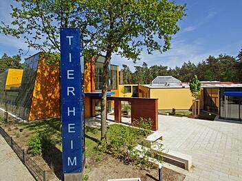 Tierheim Nürnberg verkündet Vermittlungsstopp - "bitten um Verständnis"